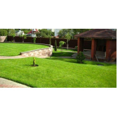 Газонна трава Turfline ORNAMENTAL, 1 кг