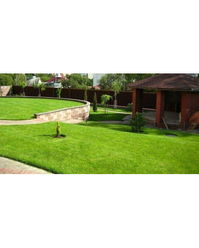 Газонна трава Turfline ORNAMENTAL, 1 кг