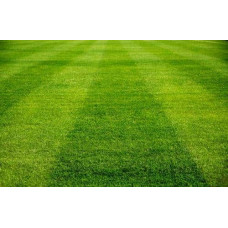 Газонна трава Turfline Sport, 1 кг