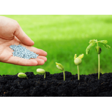 Біостимулятор росту 25 мл SmartGrow Старт