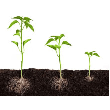 Біостимулятор росту 25 мл SmartGrow Старт