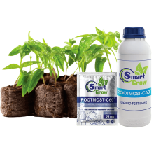 Укорінювач Smart Grow Rootmost - С60|Стимулятор розвитку кореневої системи