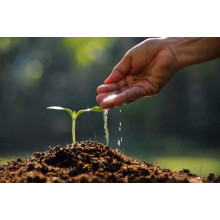 Укорінювач Smart Grow Rootmost - С60|Стимулятор розвитку кореневої системи