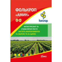 Фолькроп Амин