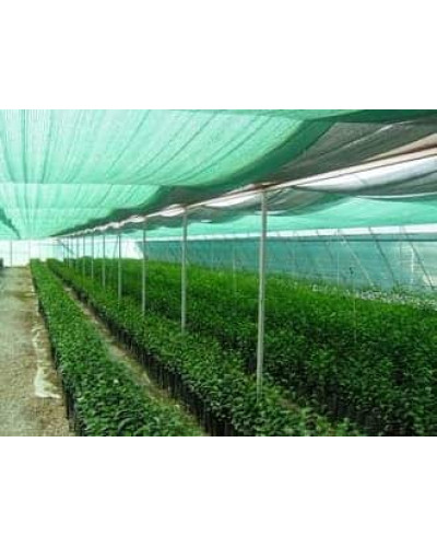 Сітка для затінення (тіньовка), рівень затінення 60%, (4м*50м) 1м/п (4м.кв)_
