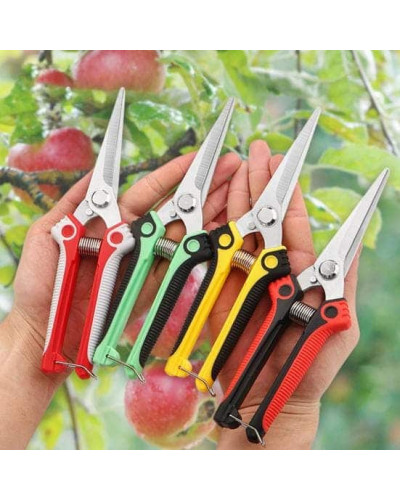 Секатор для живцювання