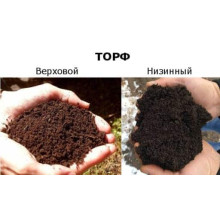Торф рудий