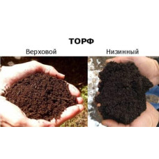 Торф рудий